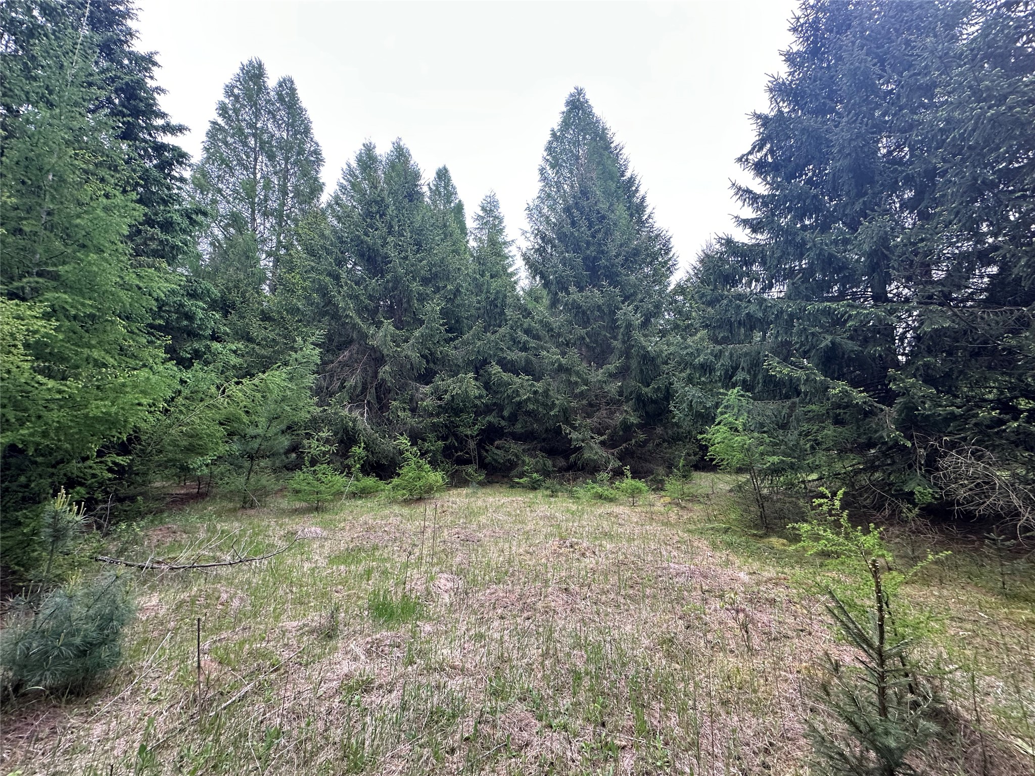 Thumbnail 30
