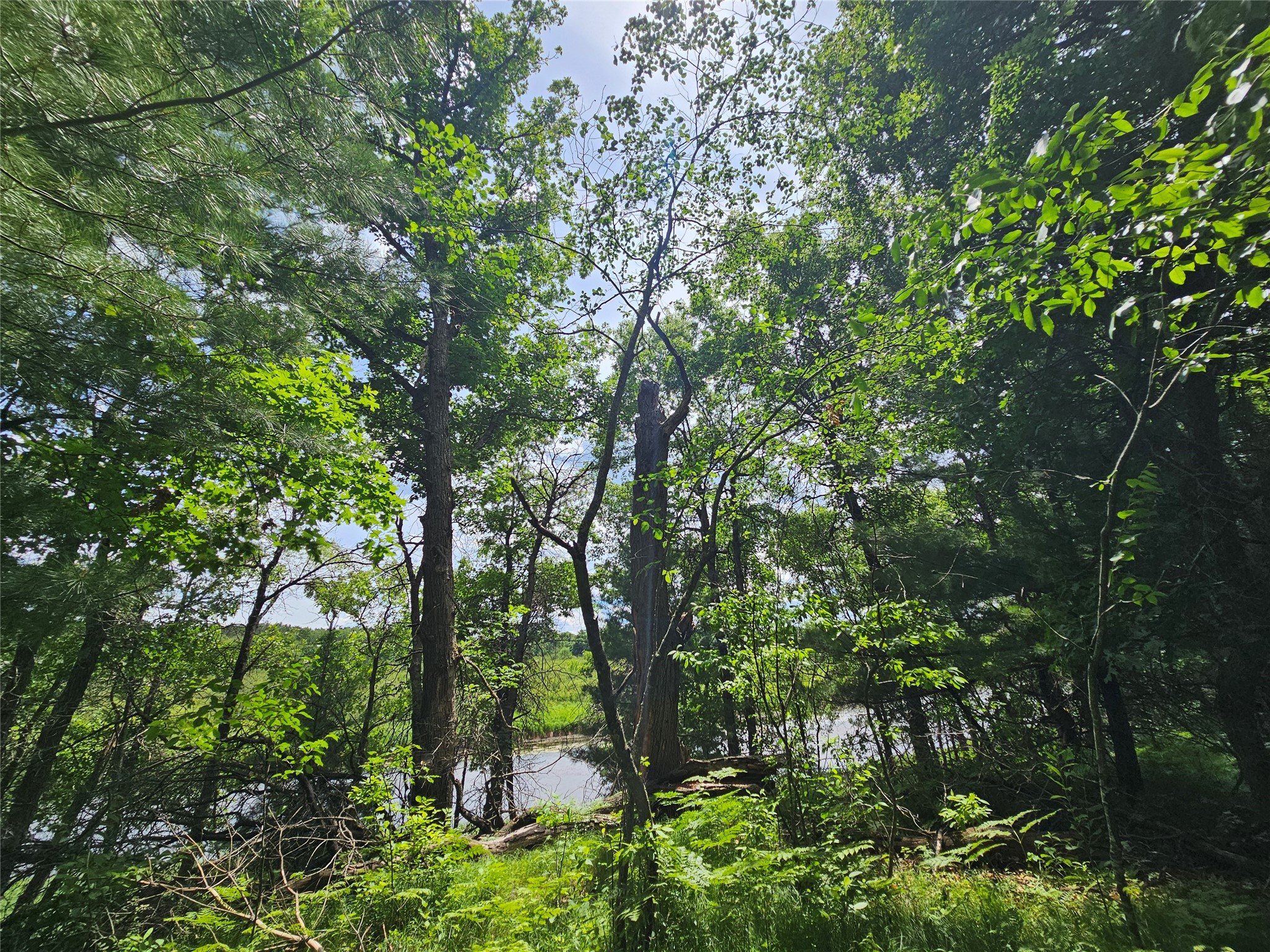 Webster Land Real Estate