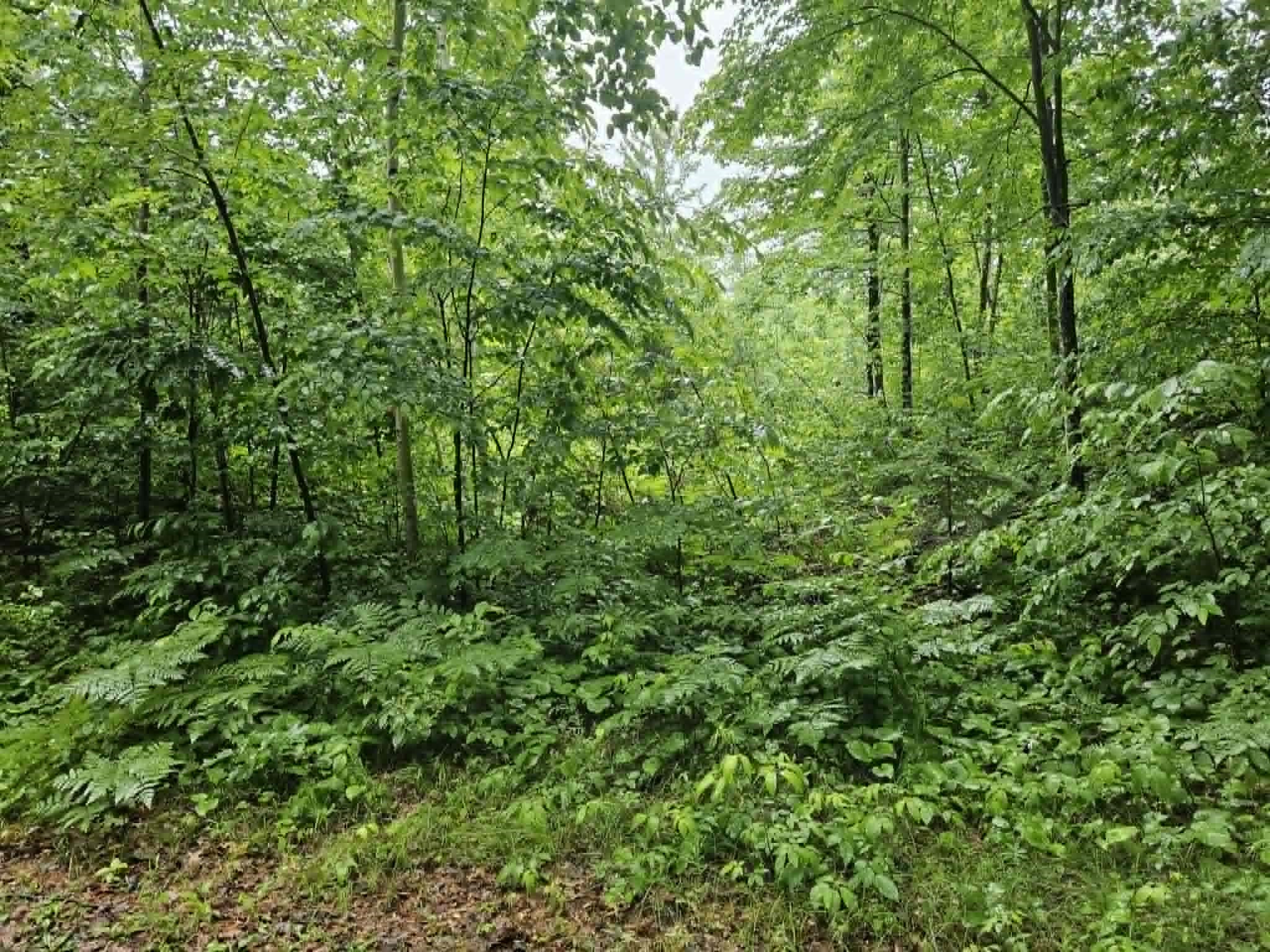 Spooner Land Real Estate