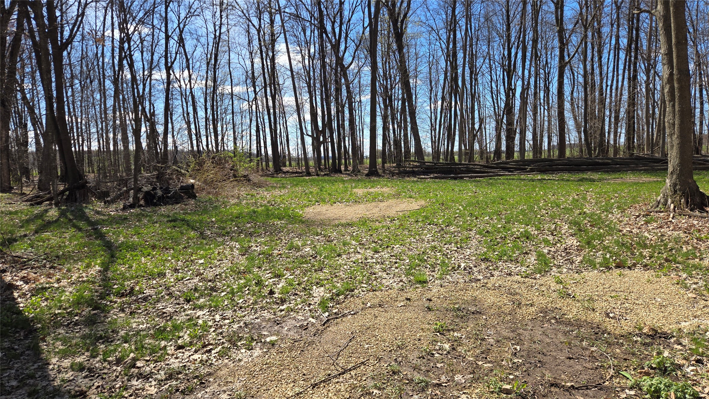 Rice Lake - Land Real Estate