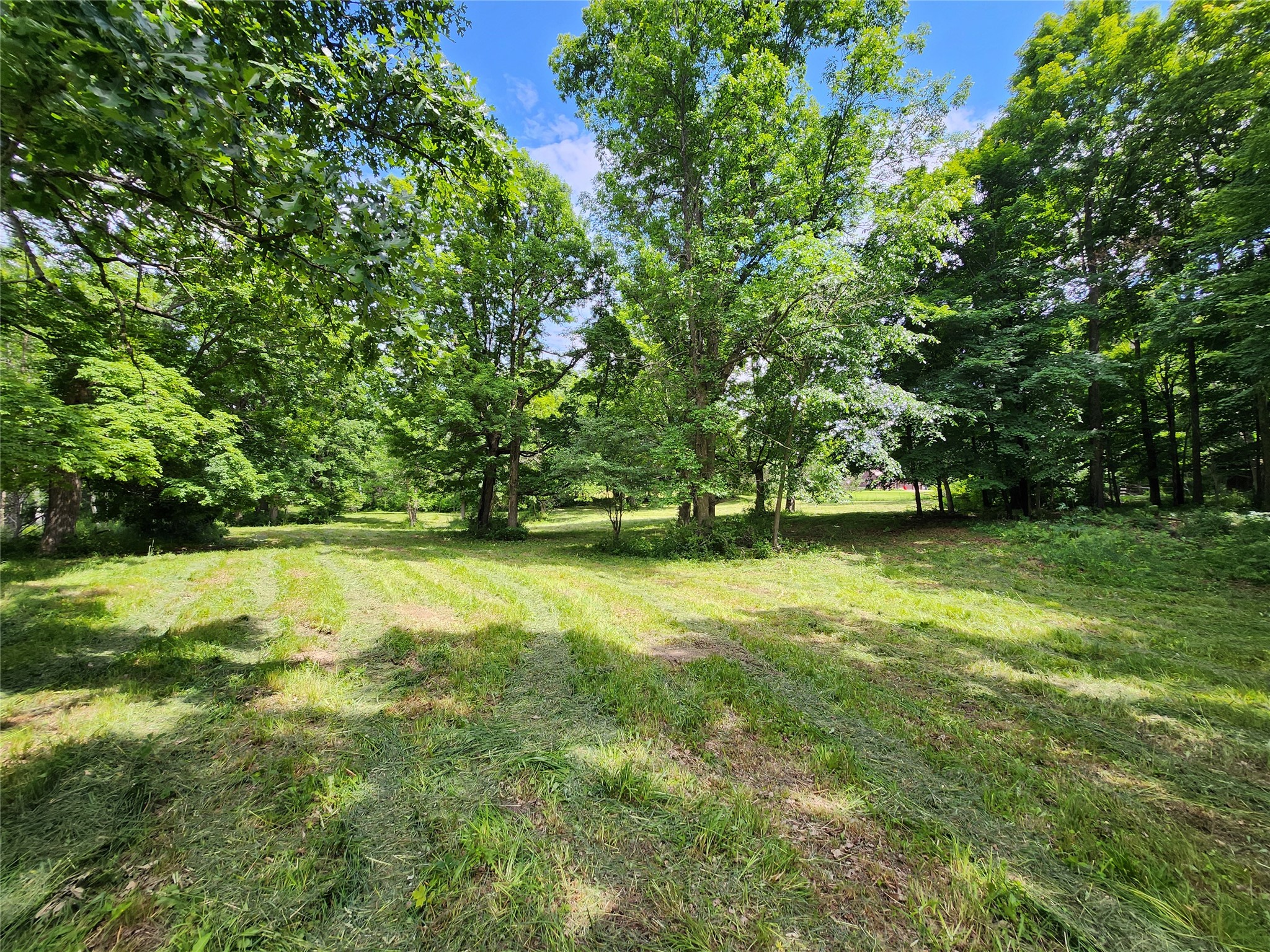 Birchwood Land Real Estate