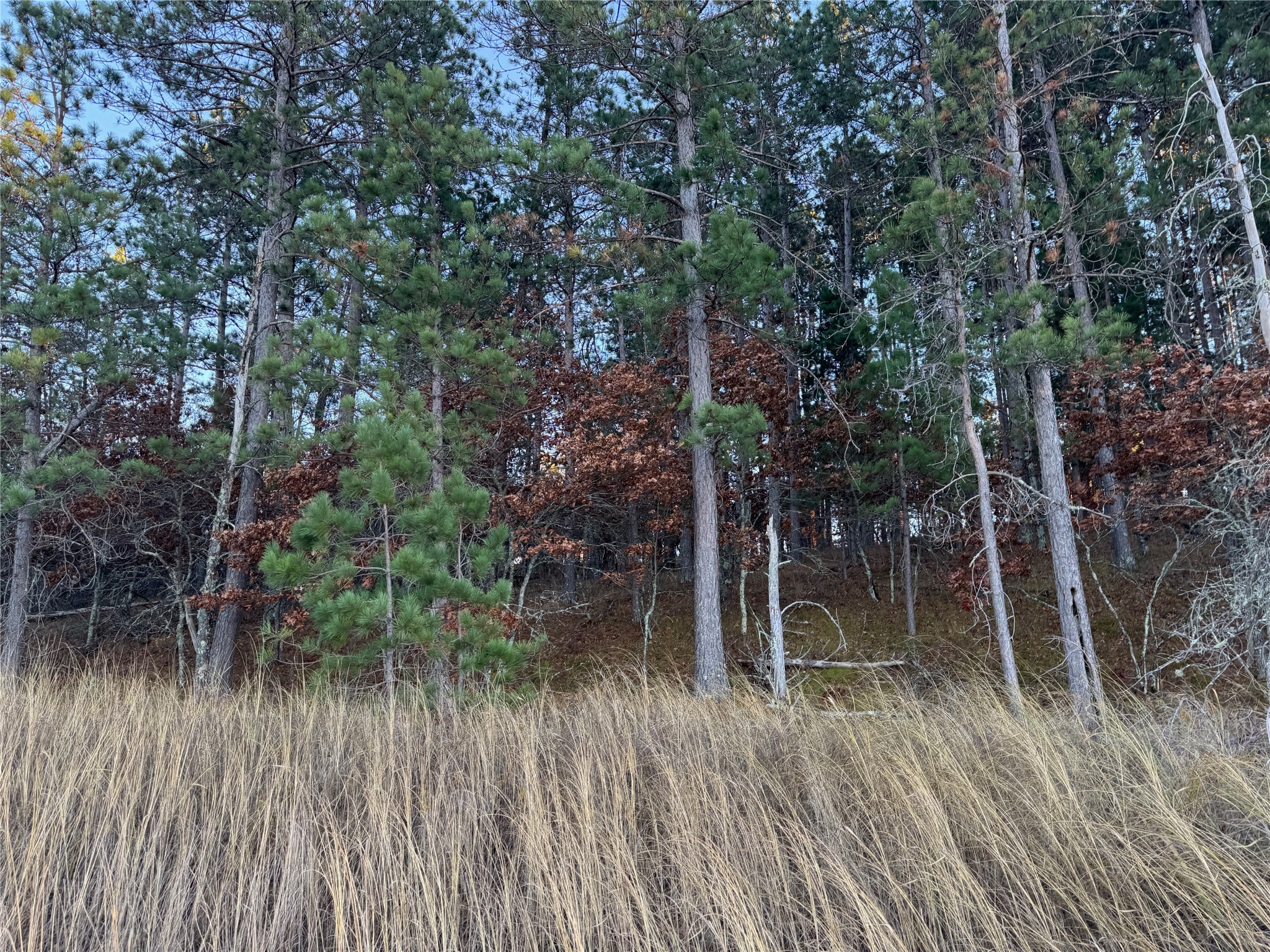 Thumbnail 15