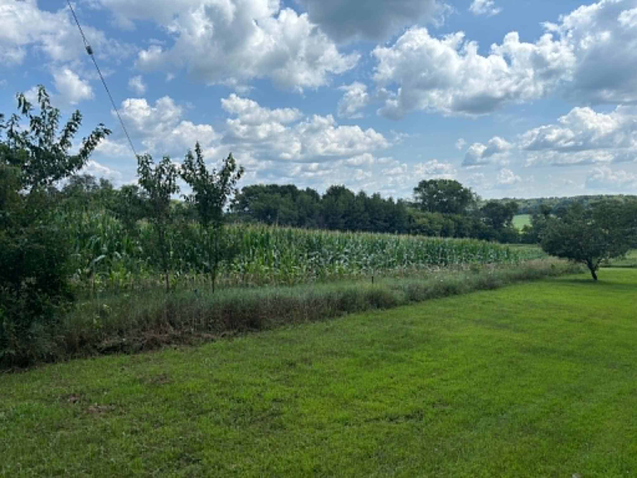 Menomonie - Land Real Estate