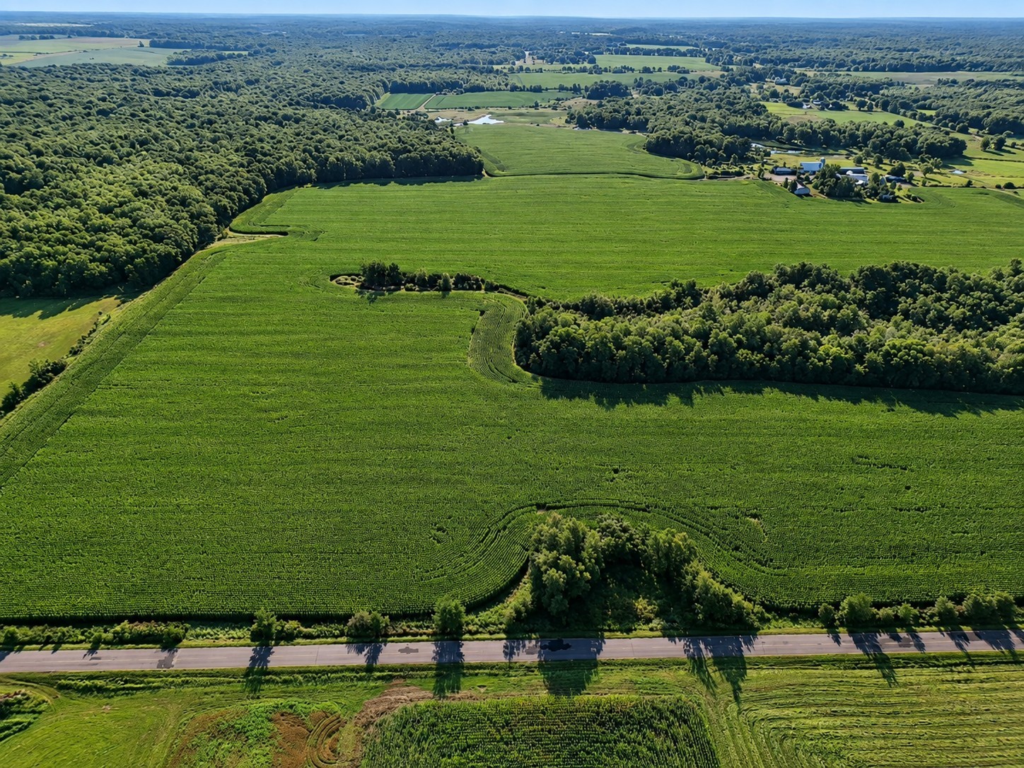 Frederic Land Real Estate