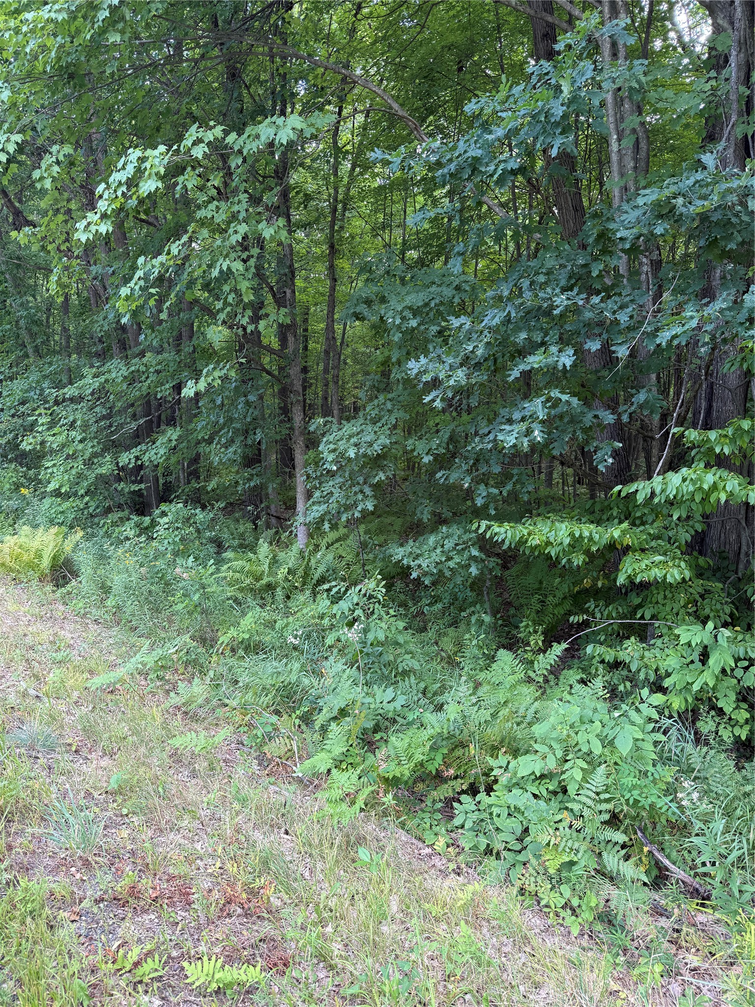 Photo of 00 S County Road G