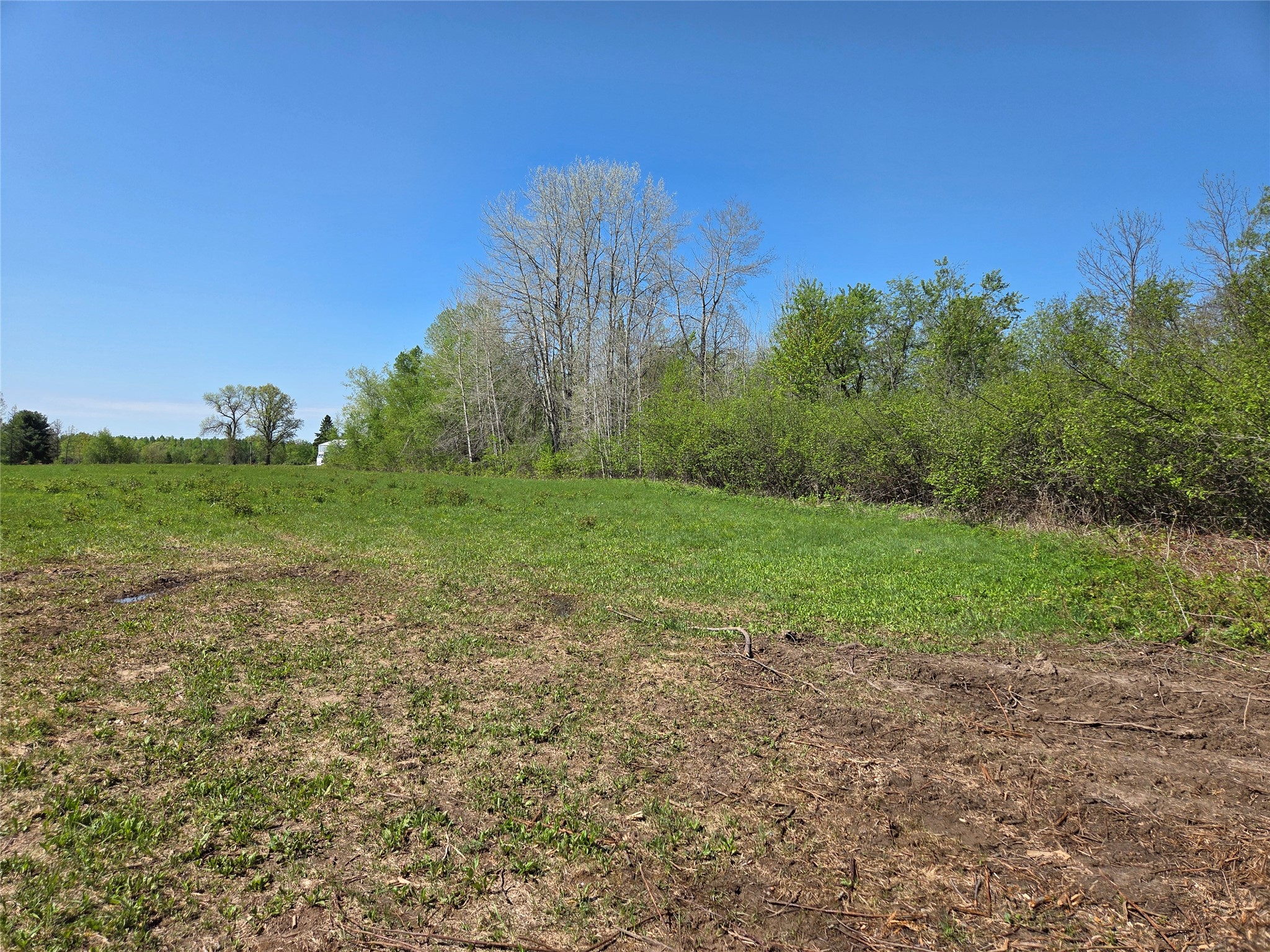 Property Photo #13