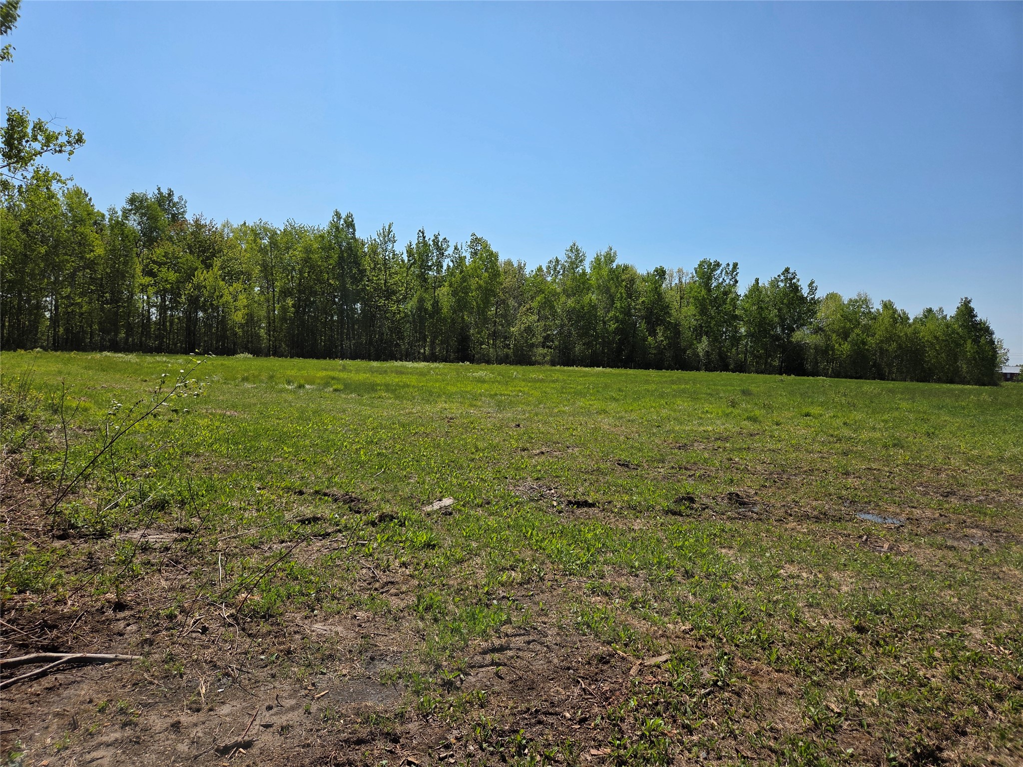Property Photo #3