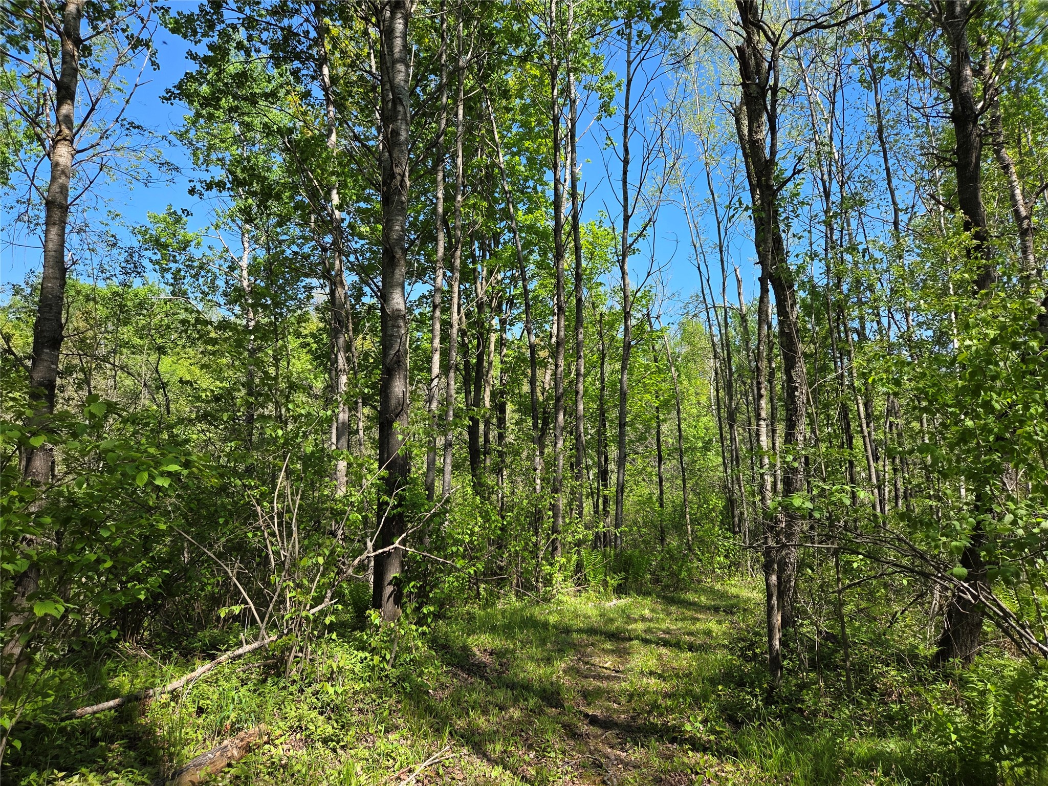 Property Photo #5