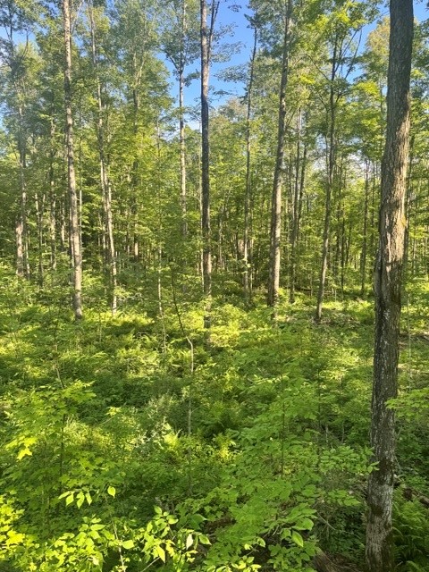 Property Photo #1