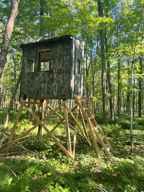 Property Photo #14