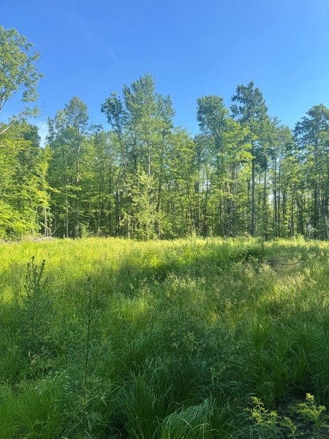 Property Photo #16