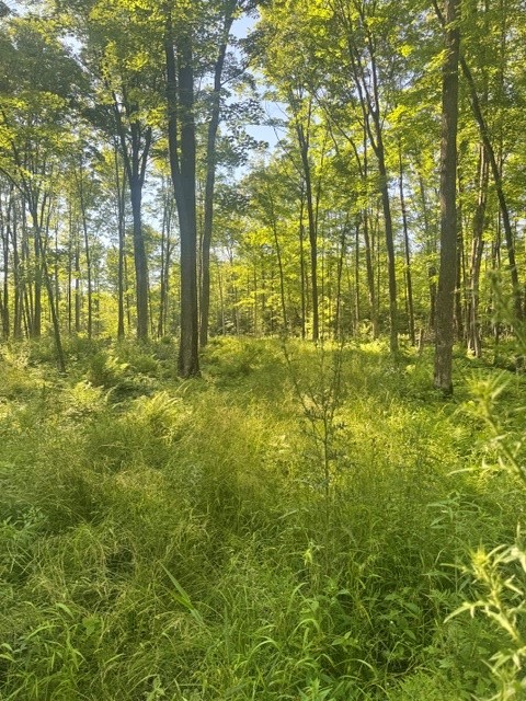 Property Photo #2