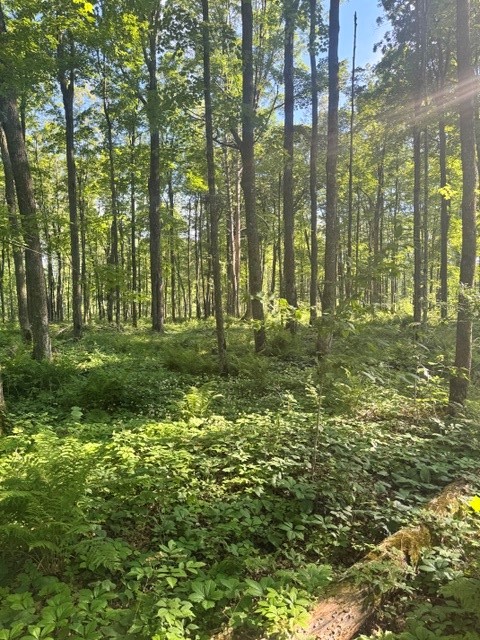 Property Photo #3