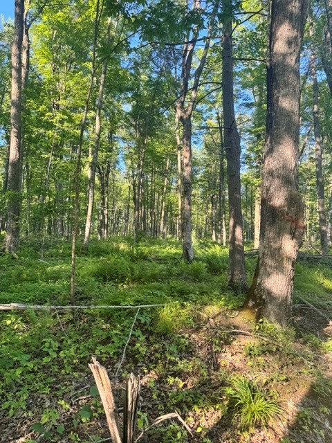 Property Photo #4