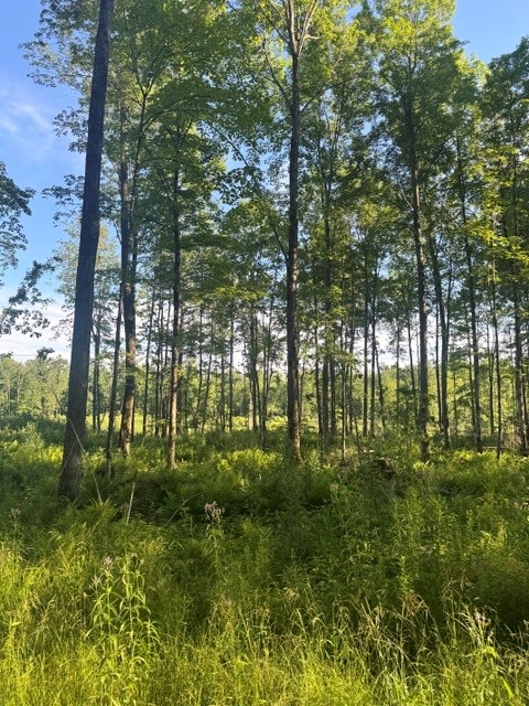 Property Photo #5
