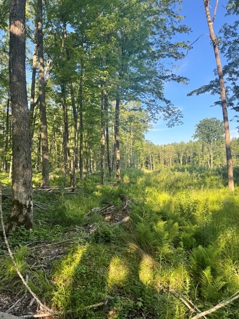 Property Photo #6