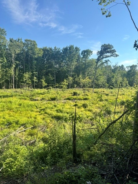 Property Photo #7