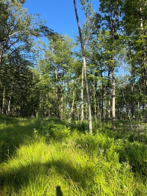 Property Photo #8