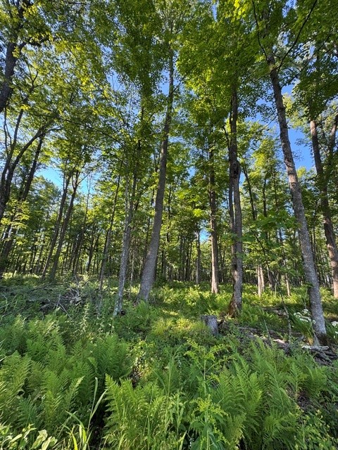 Property Photo #9