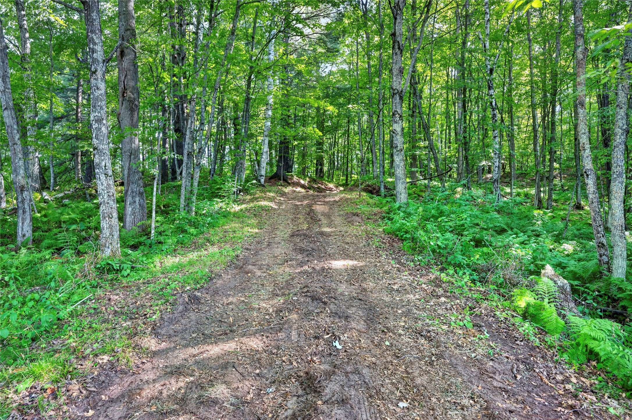 Thumbnail 15