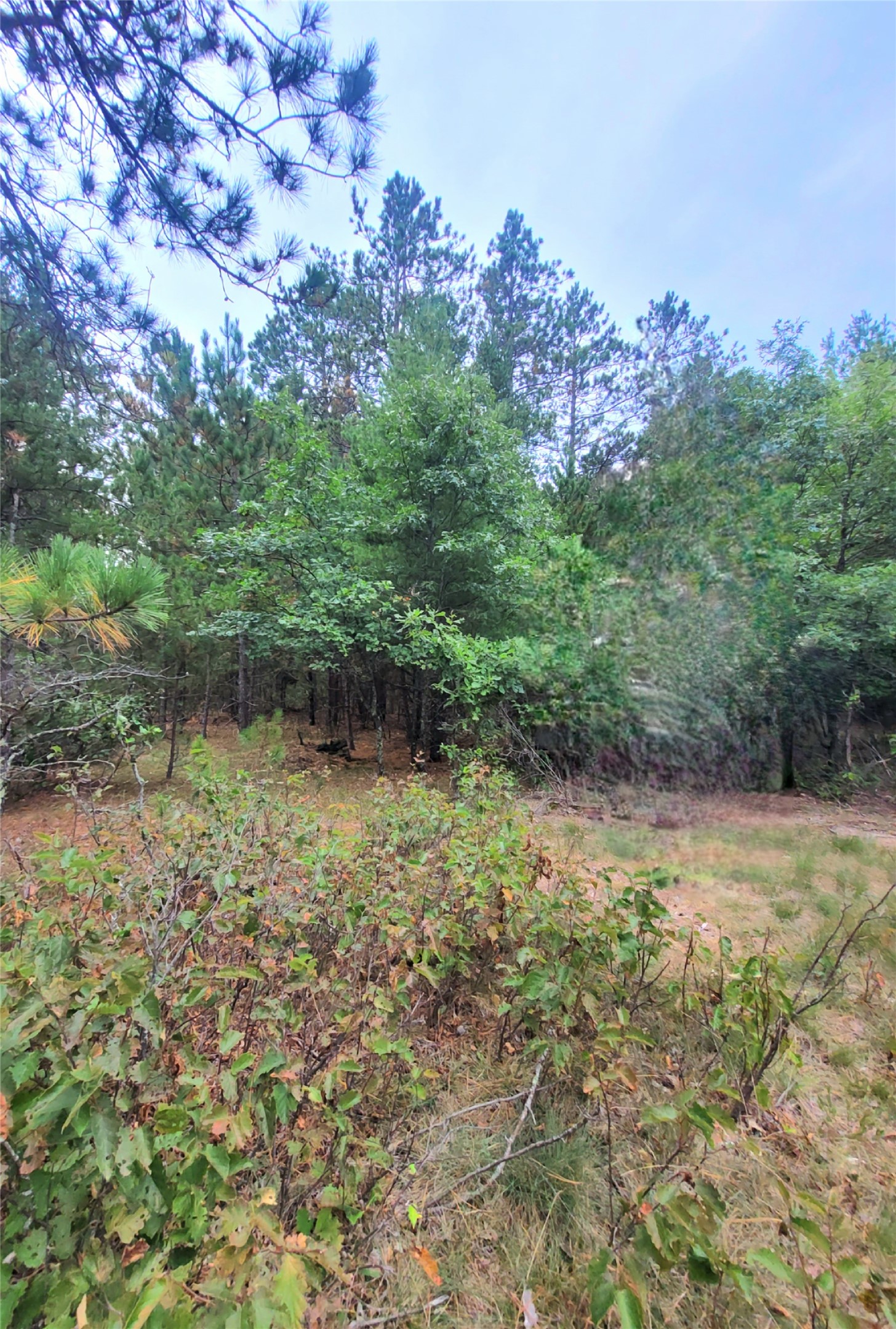 Thumbnail 13