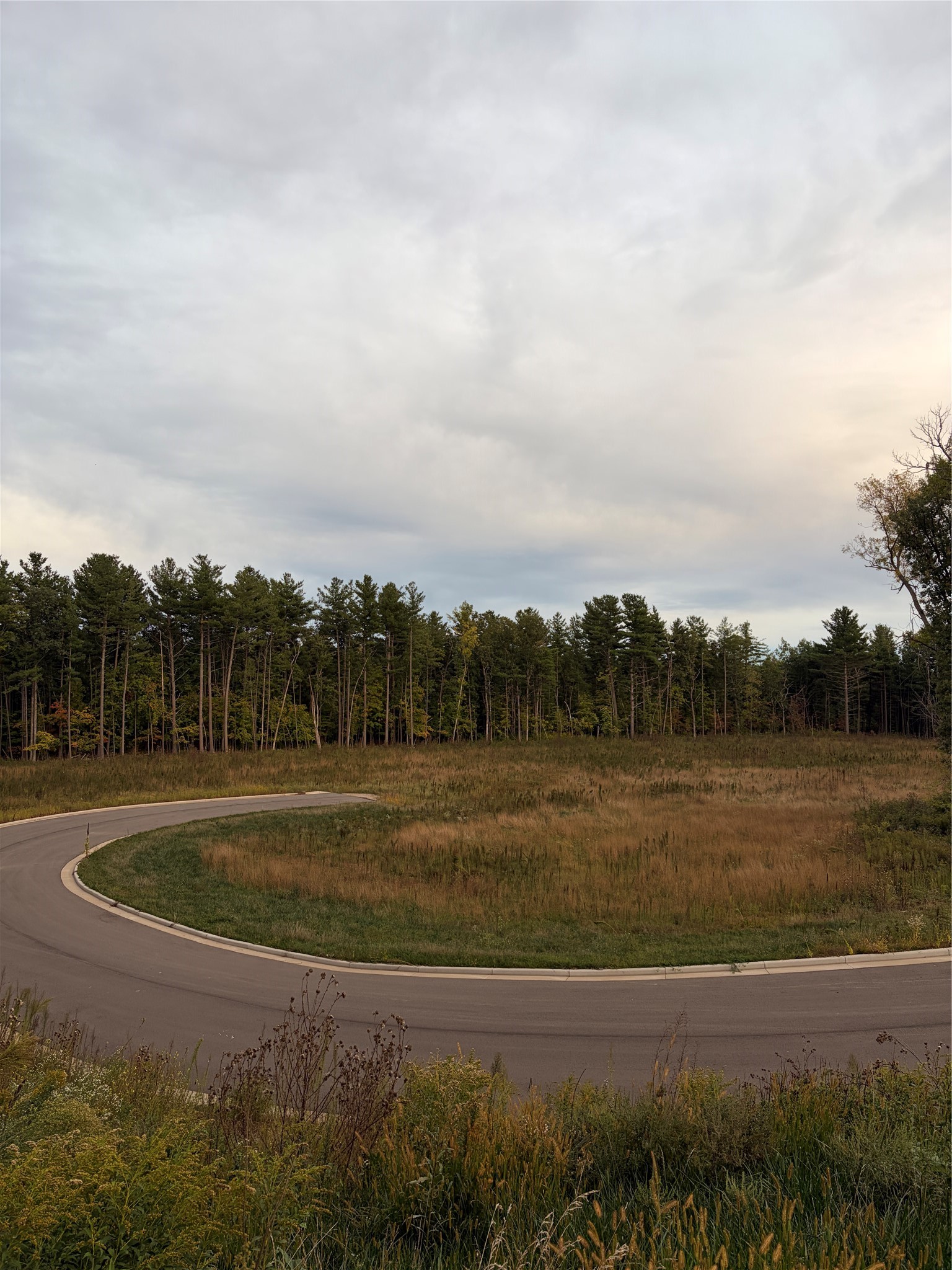 Rice Lake - Land photo 3 of 12