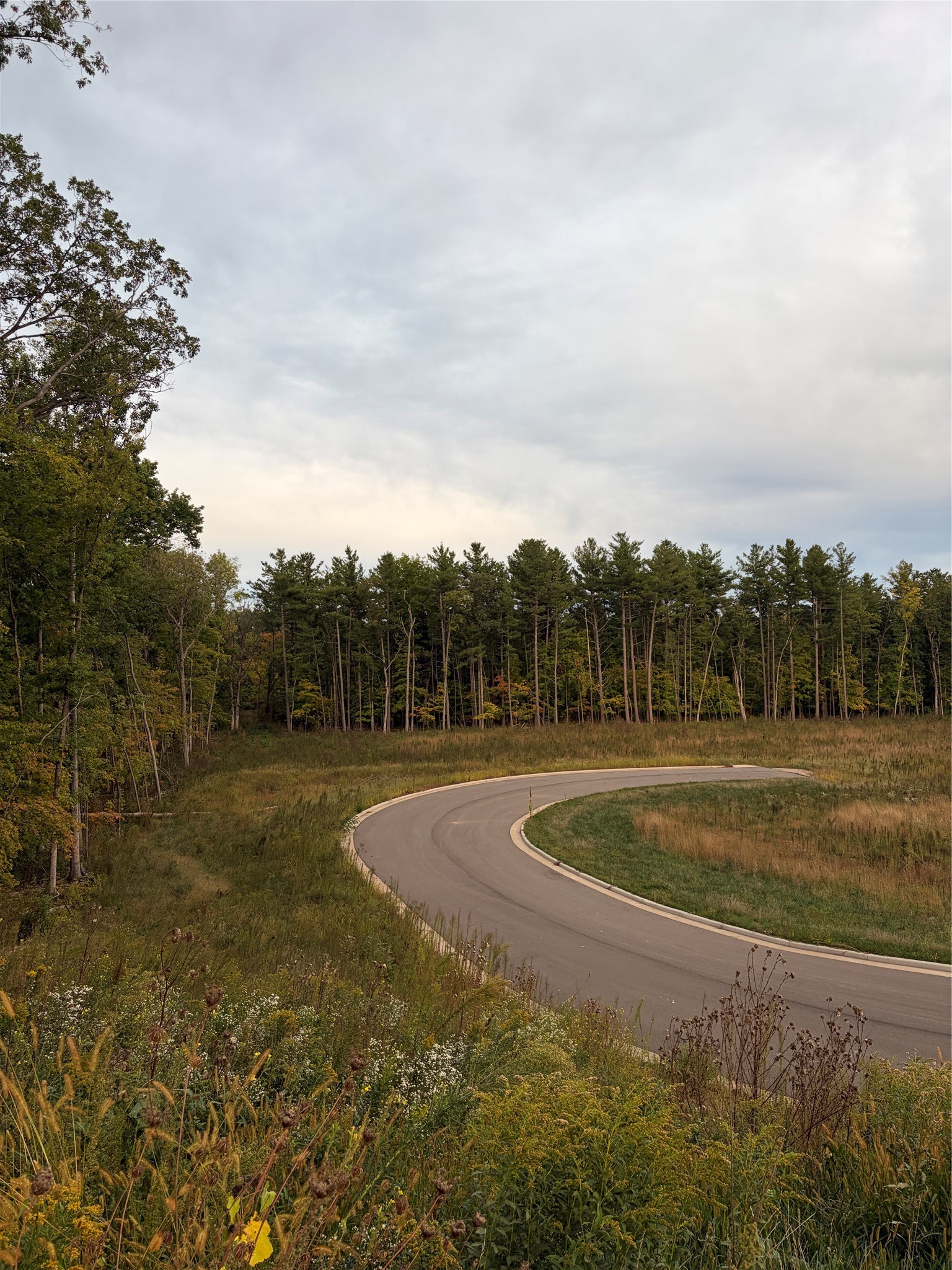 Rice Lake - Land photo 4 of 12