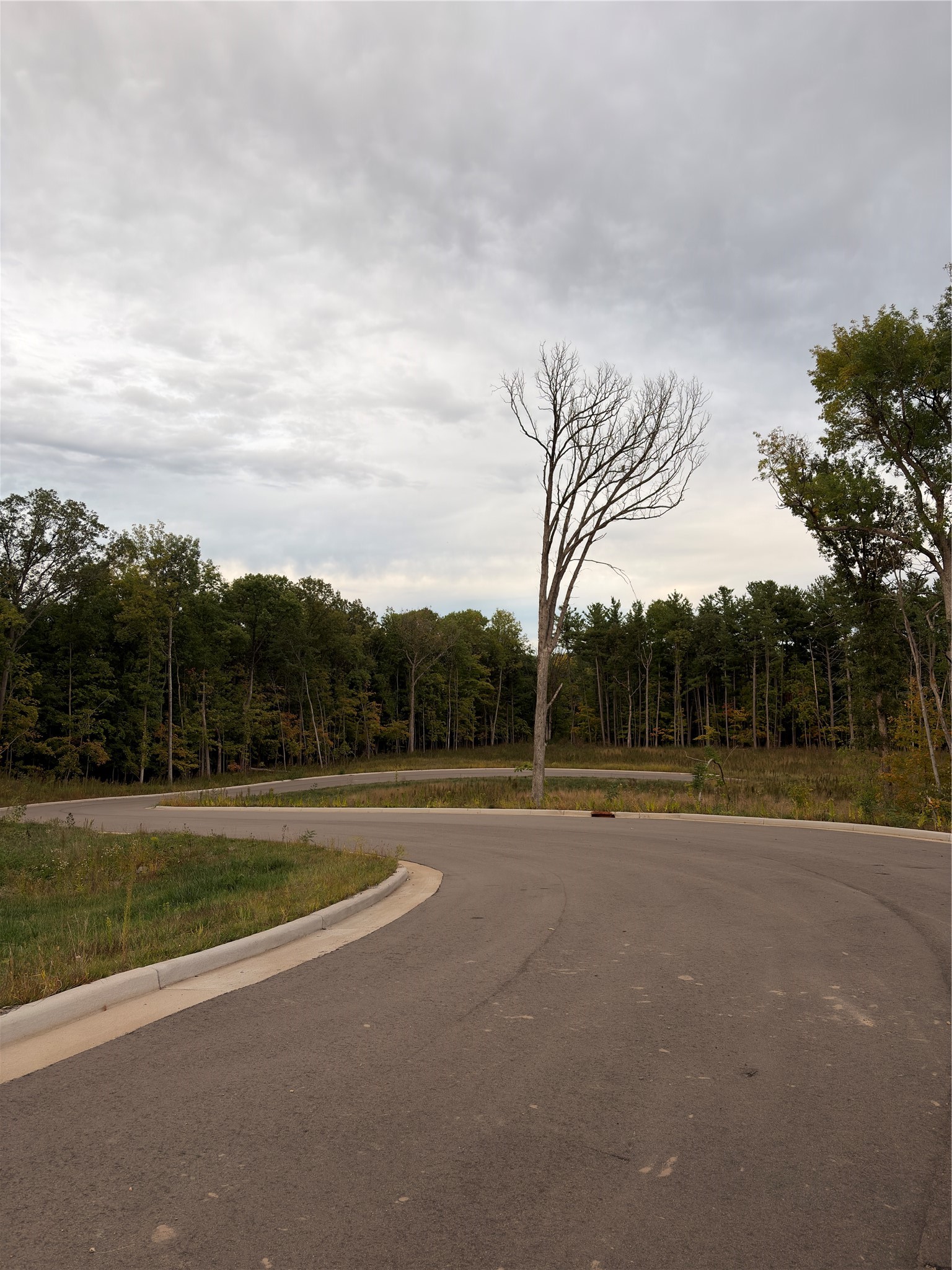 Rice Lake - Land photo 5 of 12