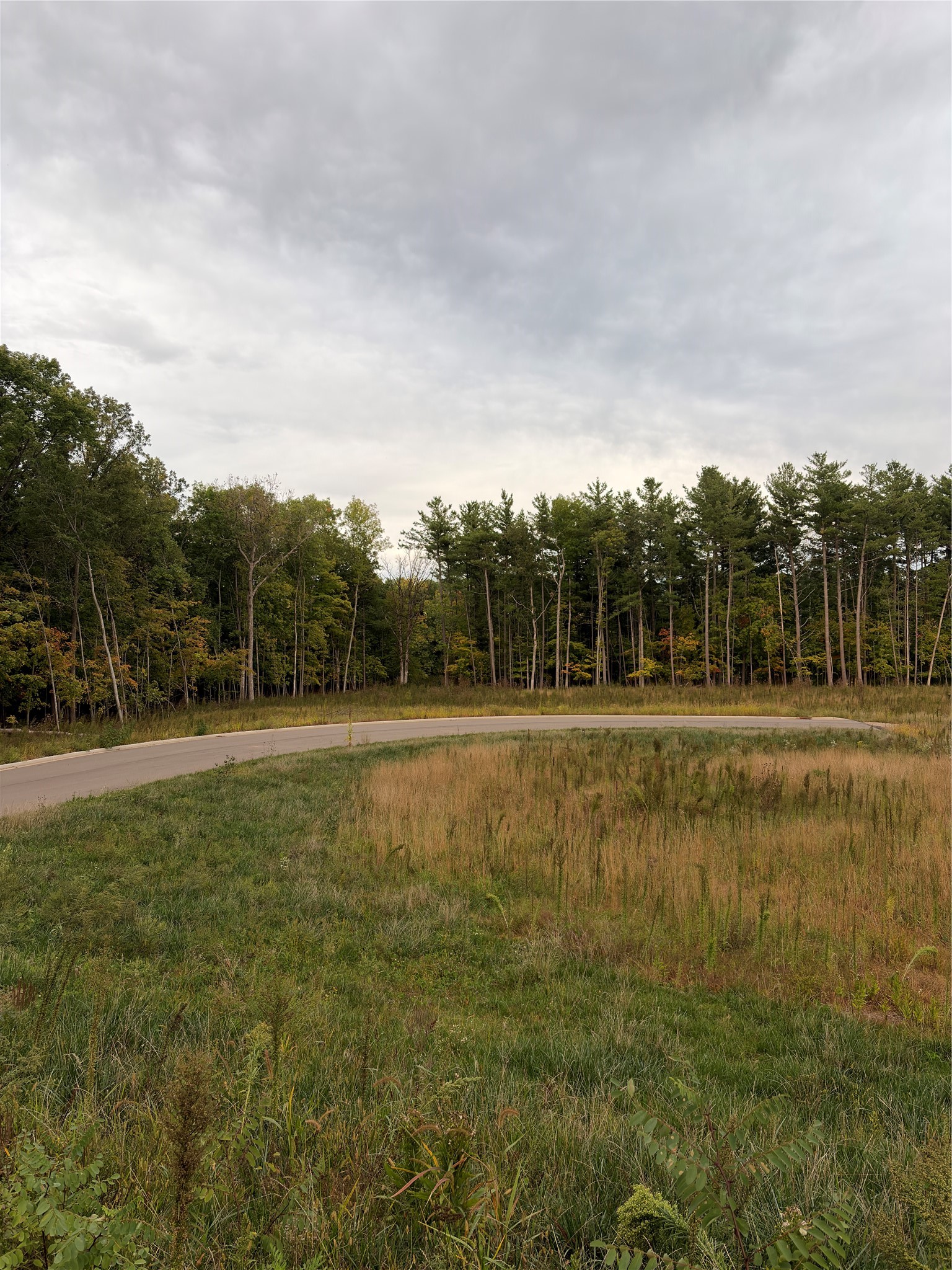Rice Lake - Land photo 6 of 12
