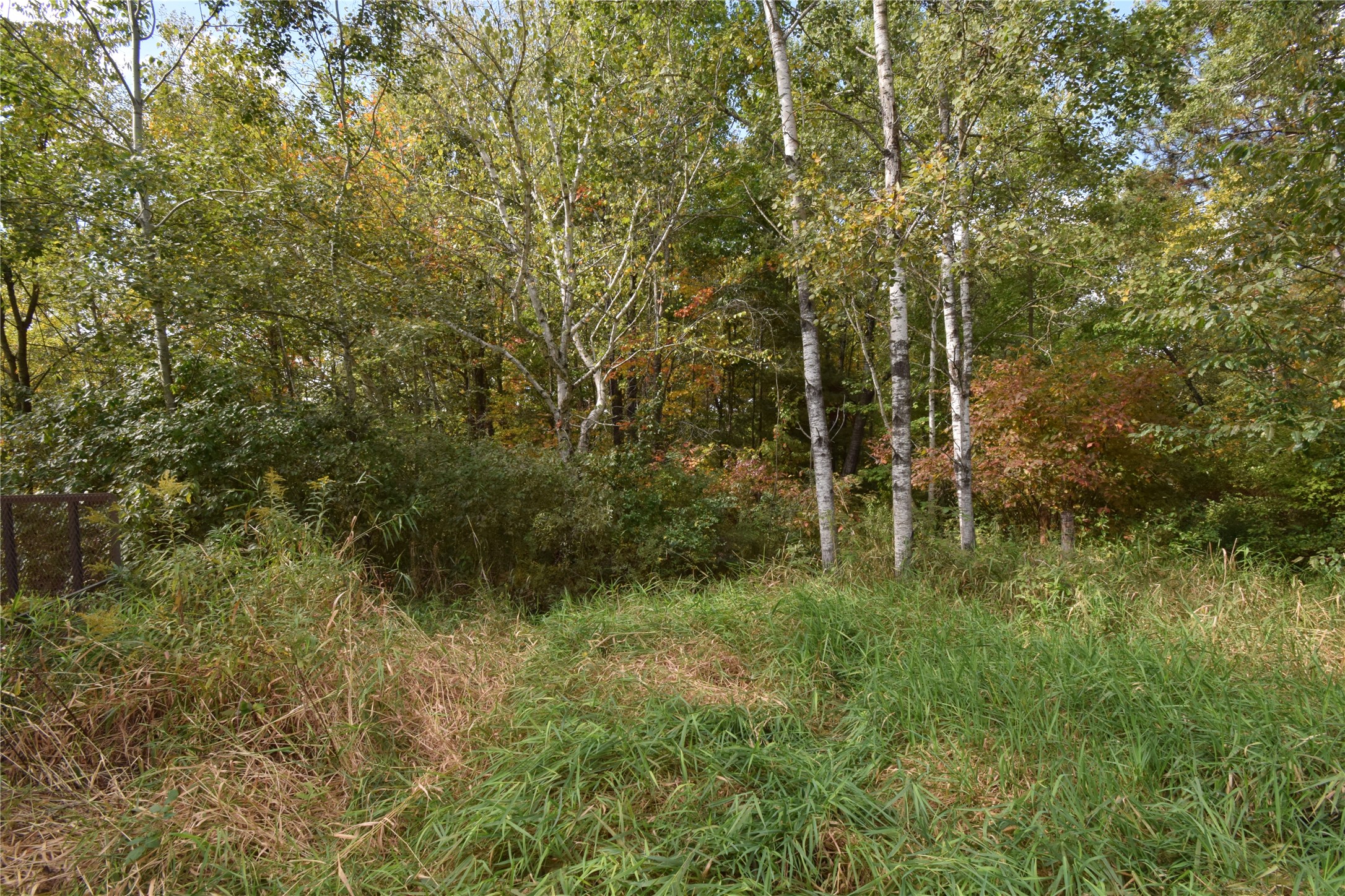 Property Photo #38