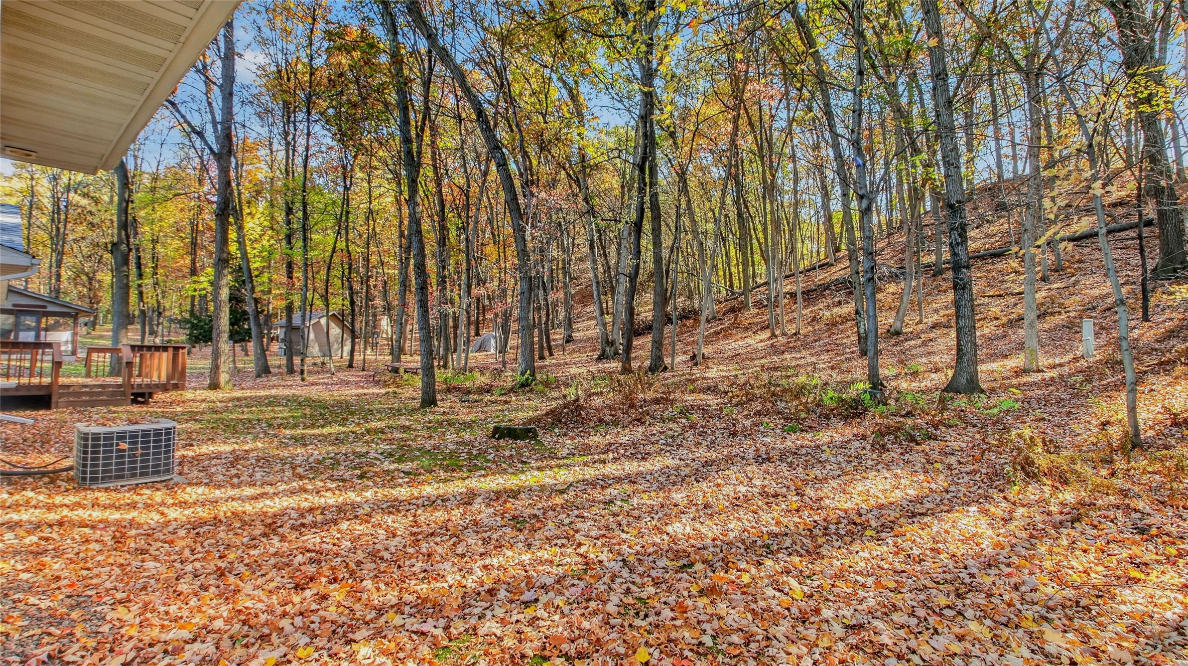 Property Photo #3