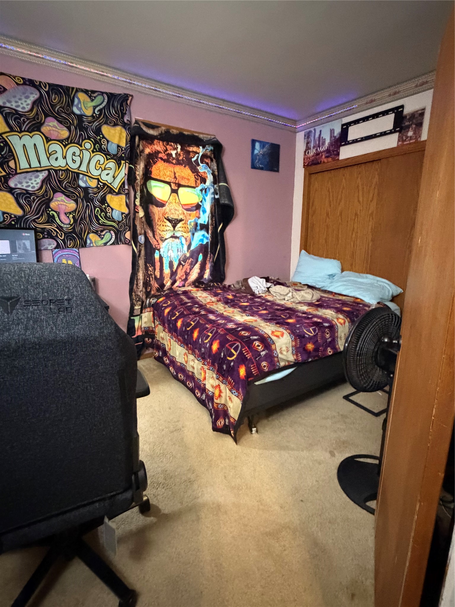 Property Photo #15