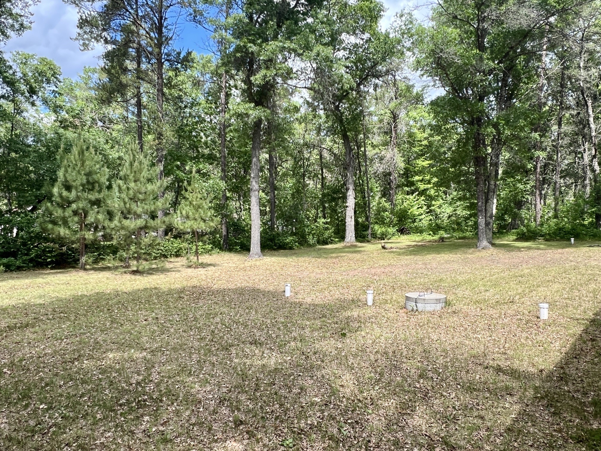 Thumbnail 29