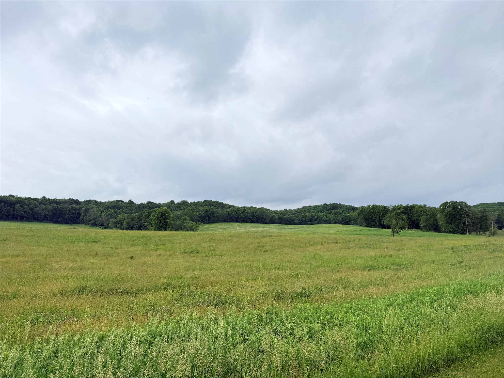 Fall Creek Land Real Estate