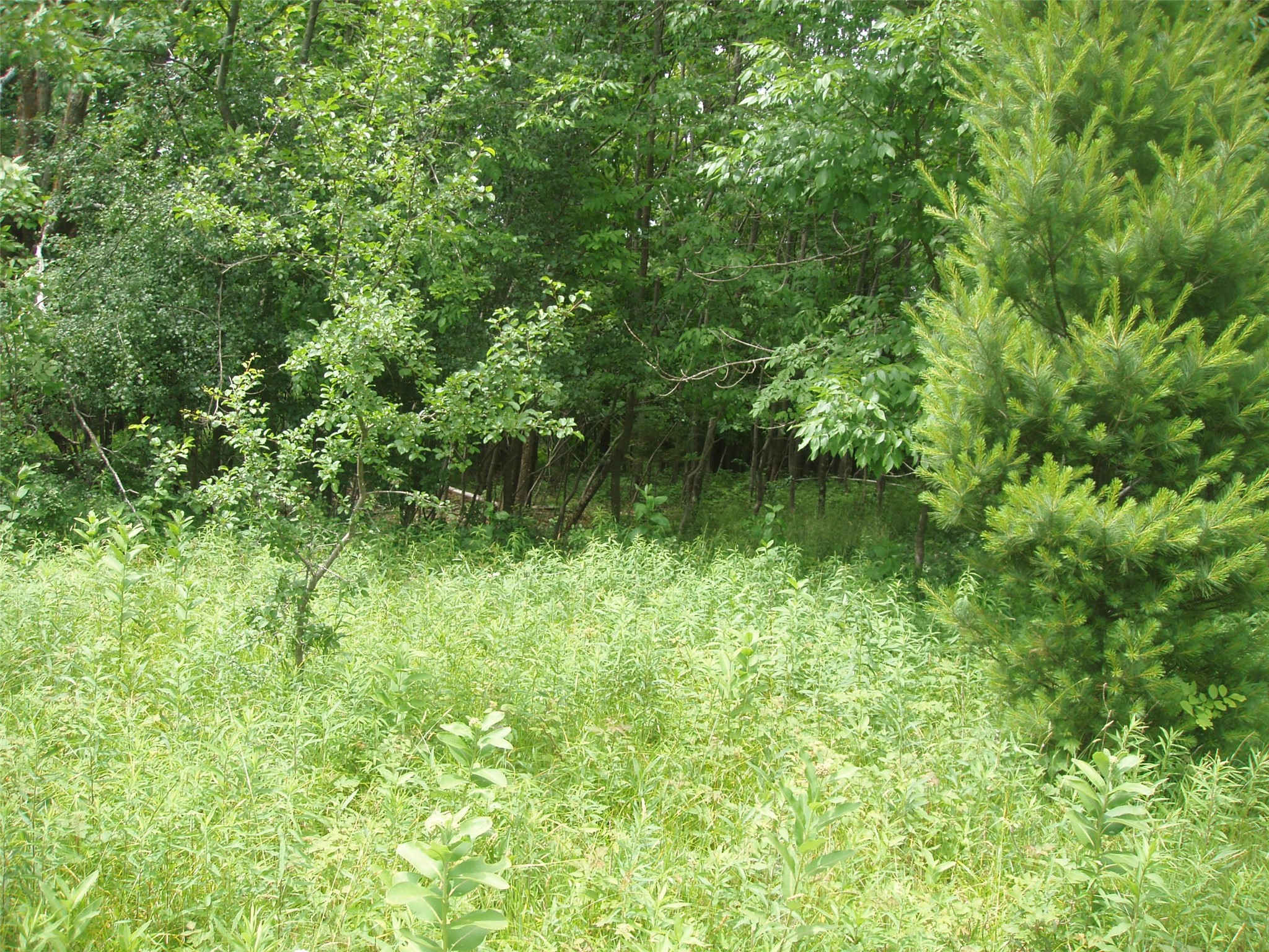Park Falls Land Real Estate