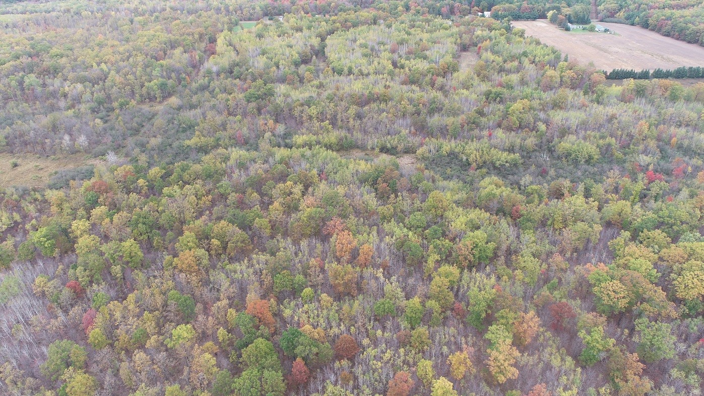 Cadott Land Real Estate