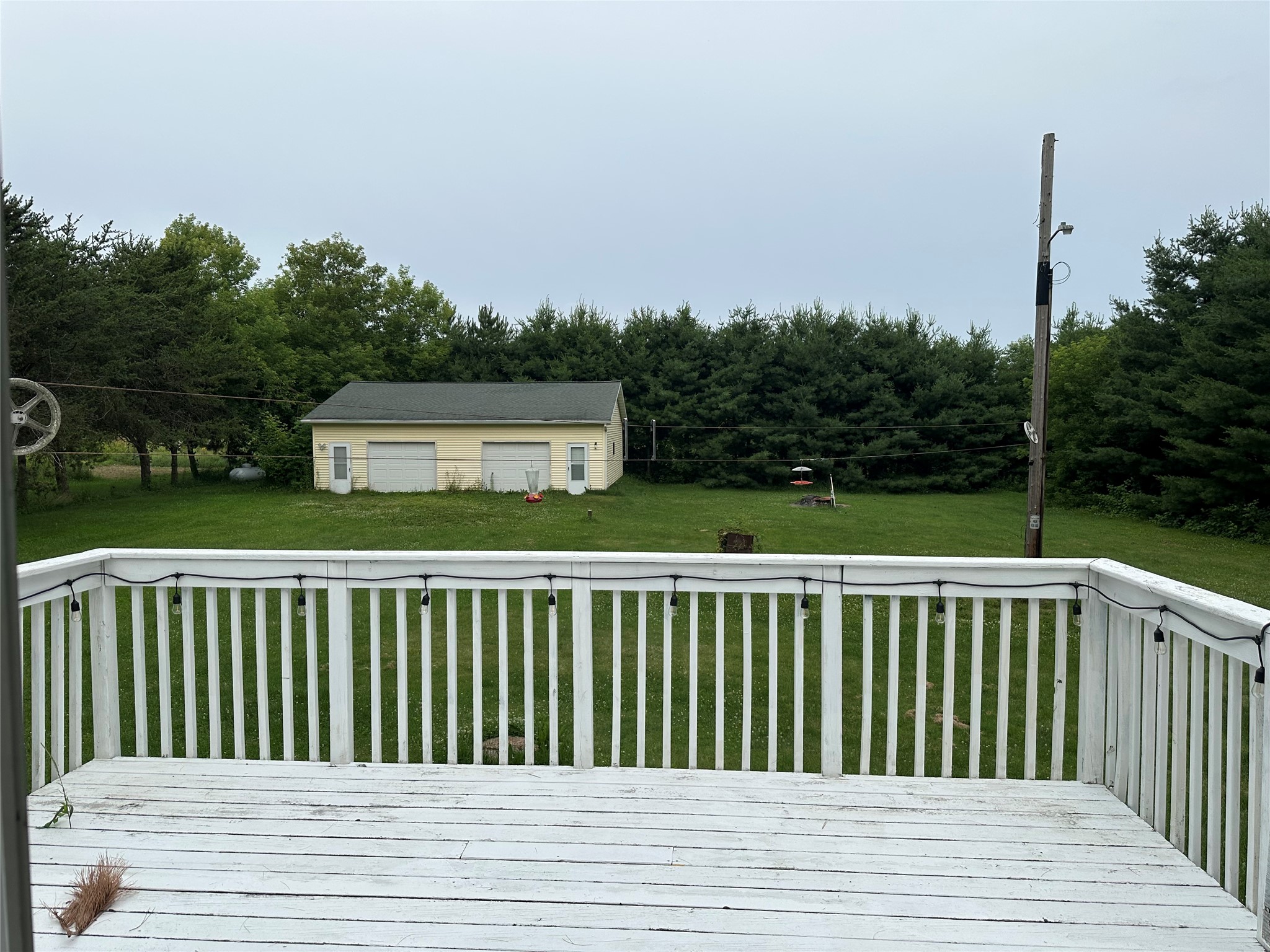 Photo 44