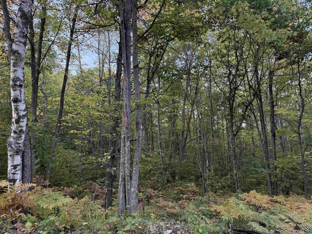 Iron River Land Real Estate