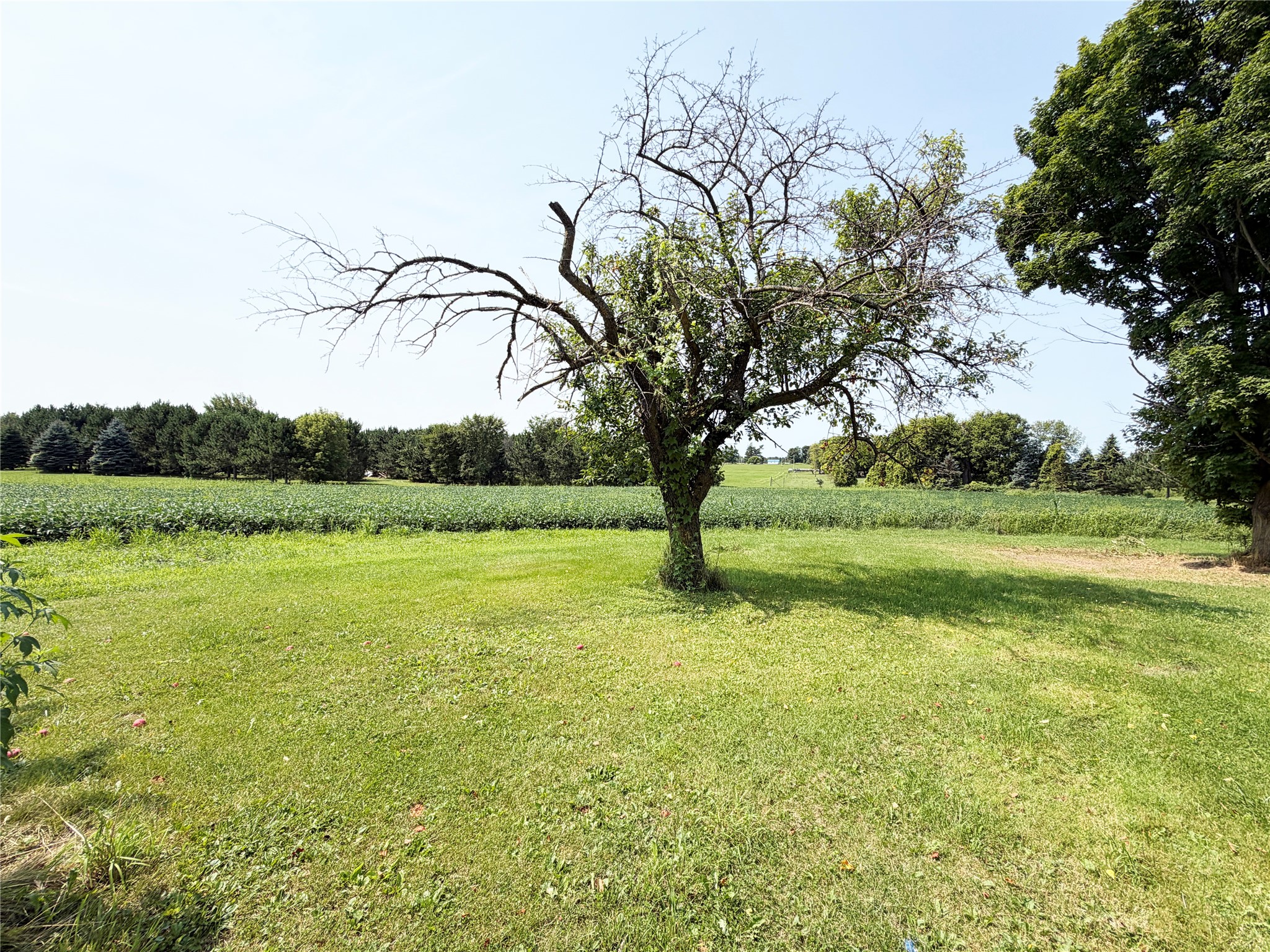Property Photo #13
