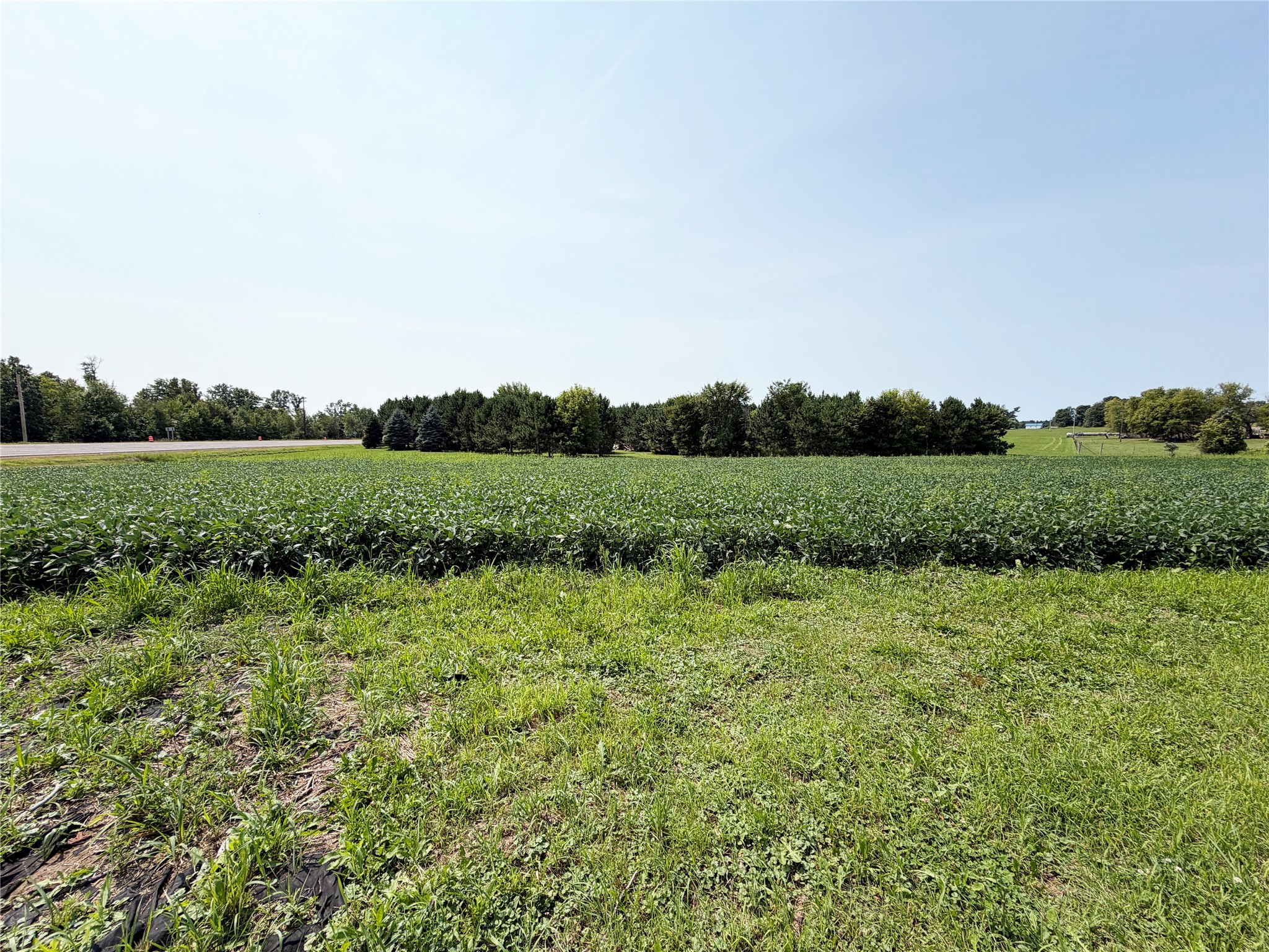 Property Photo #14