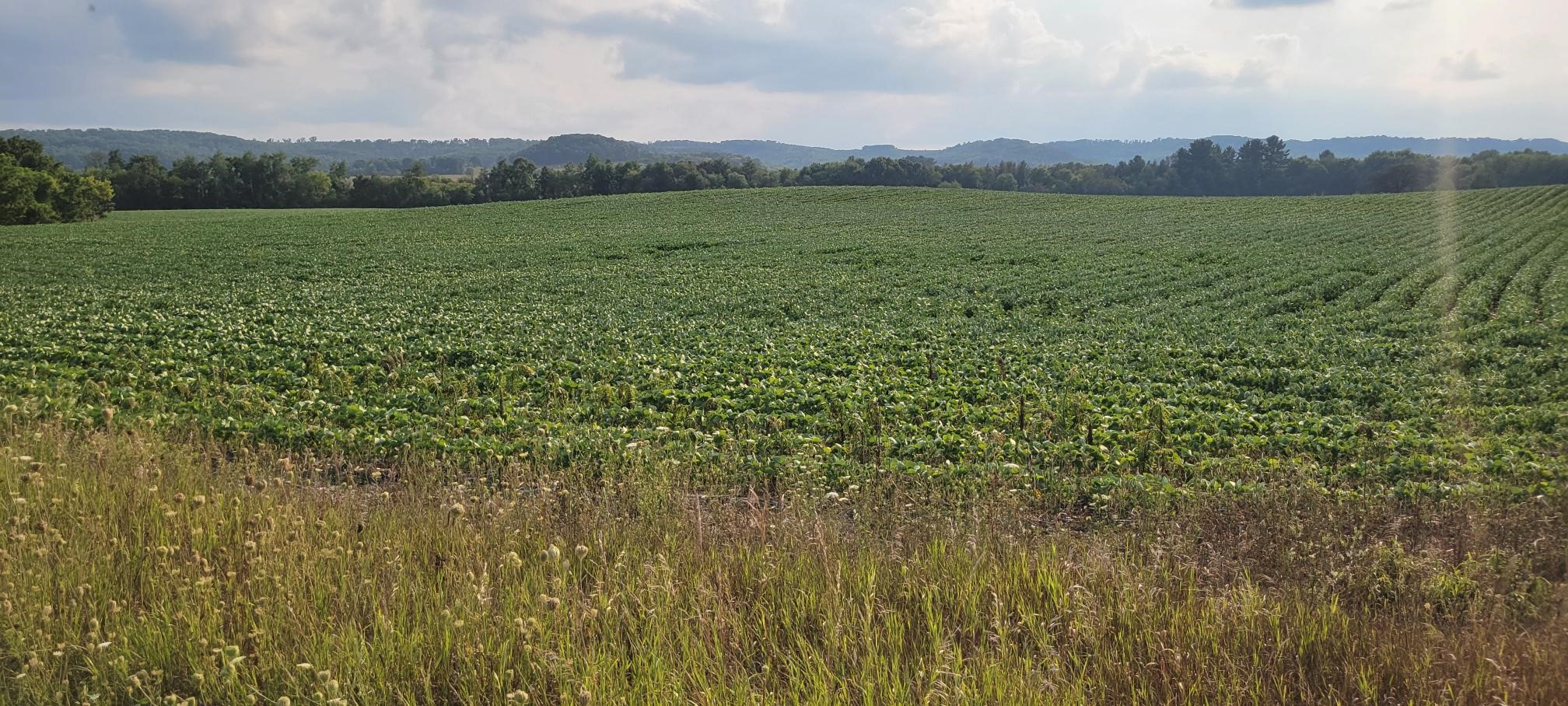 Photo of 000 N Casper Road, Alma Center, WI