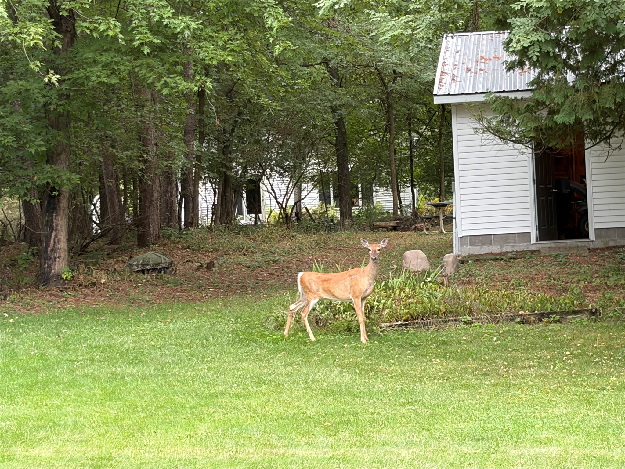 Photo 46