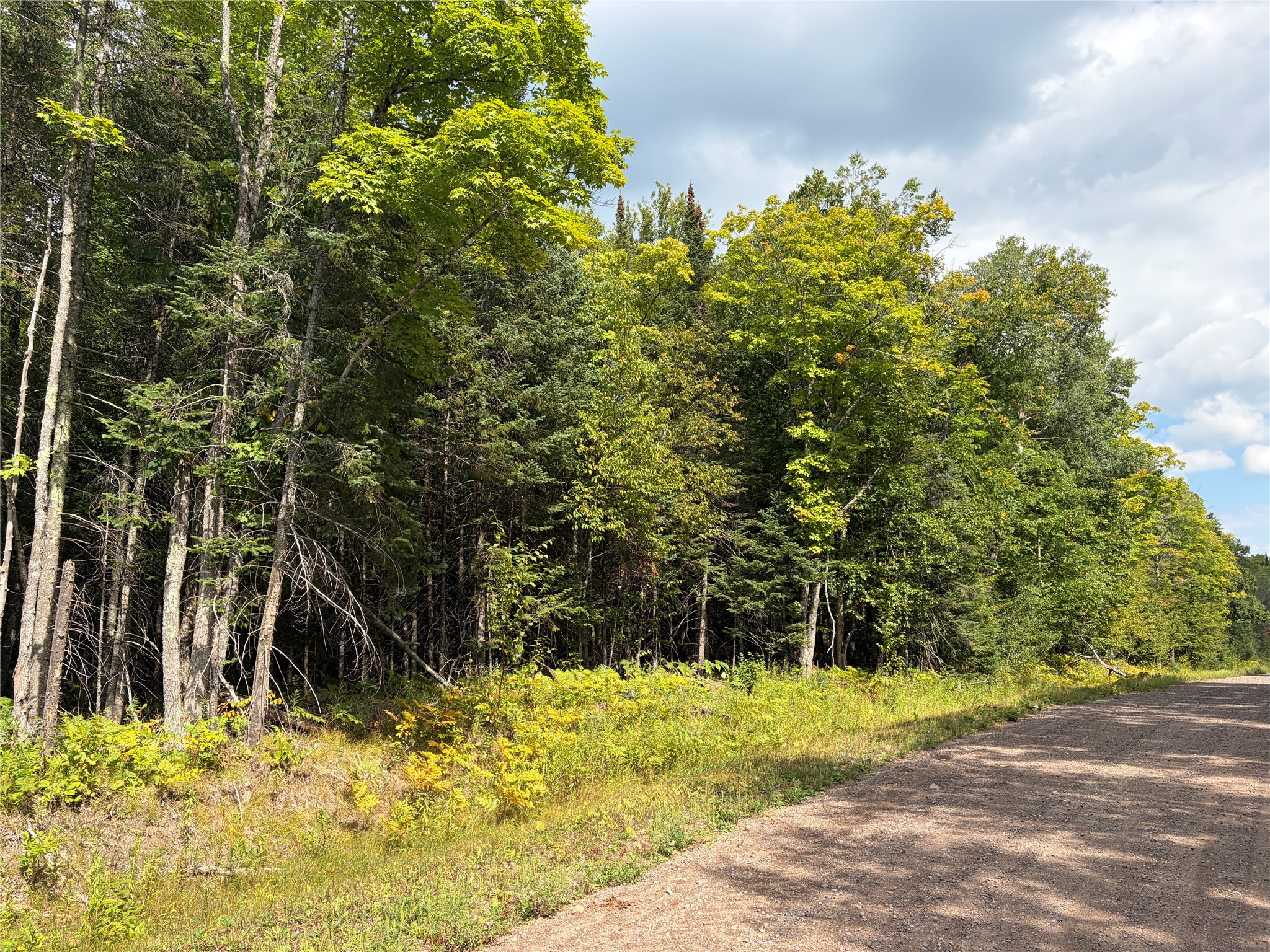 Photo of On Schwilk Road, Glidden, WI