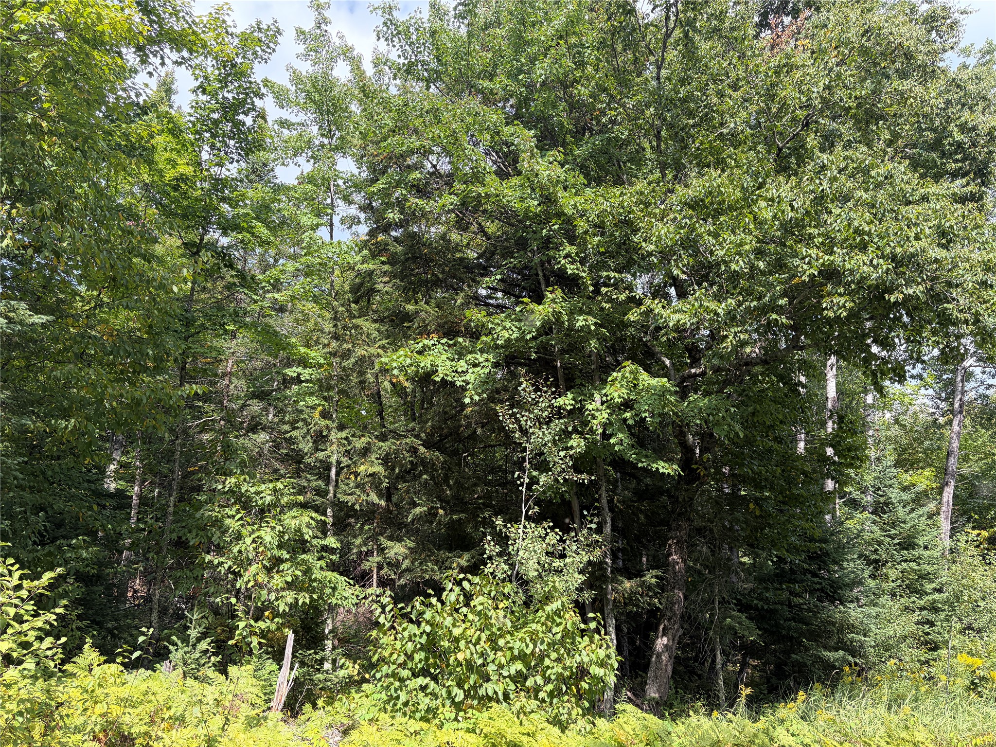 Glidden - Land photo 3 of 10