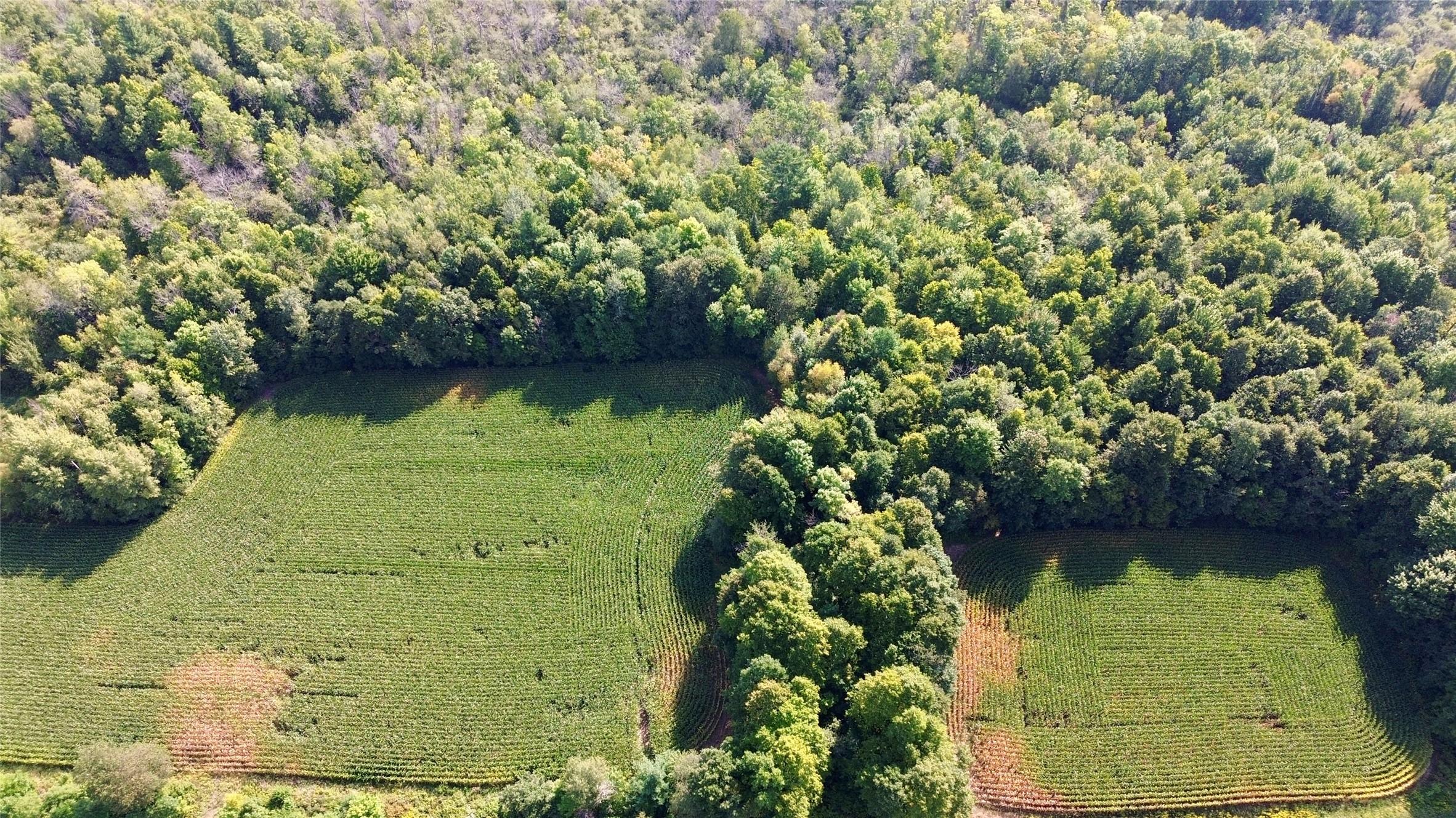 Cadott Land Real Estate