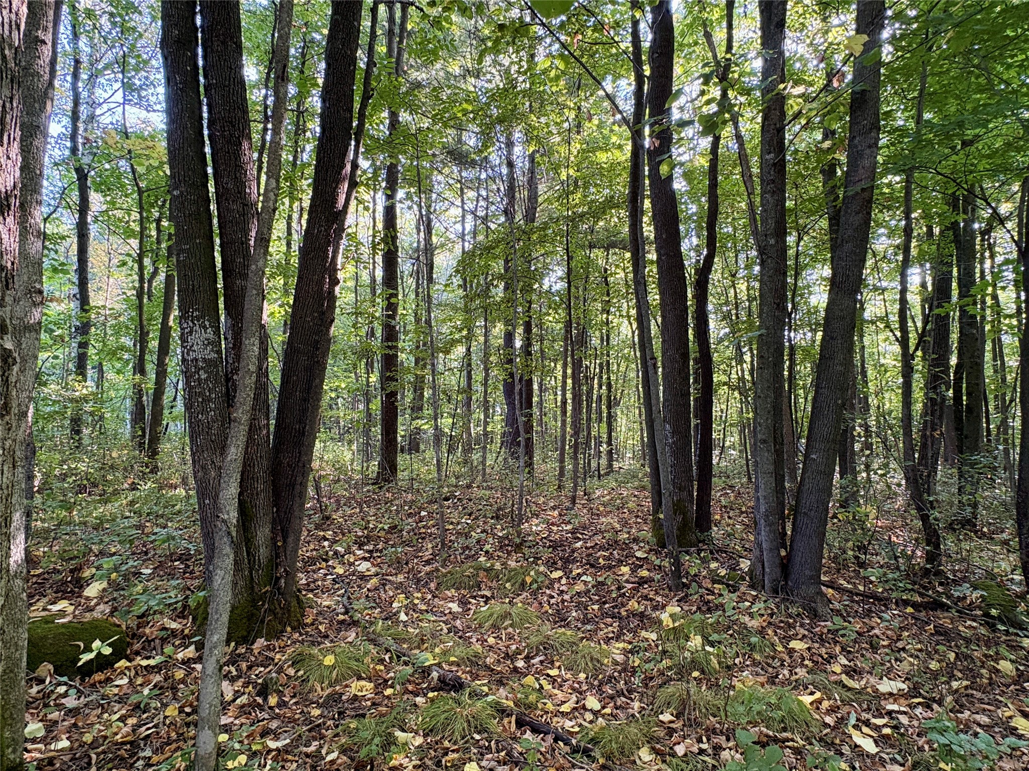 Thumbnail 14