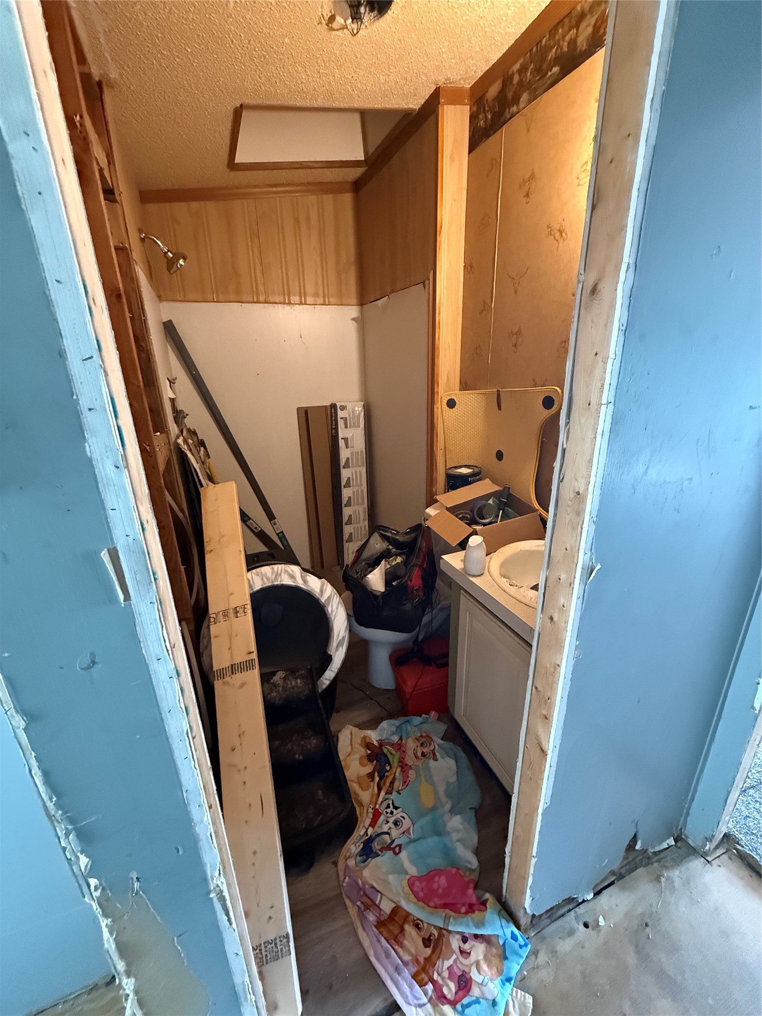 Property Photo #19