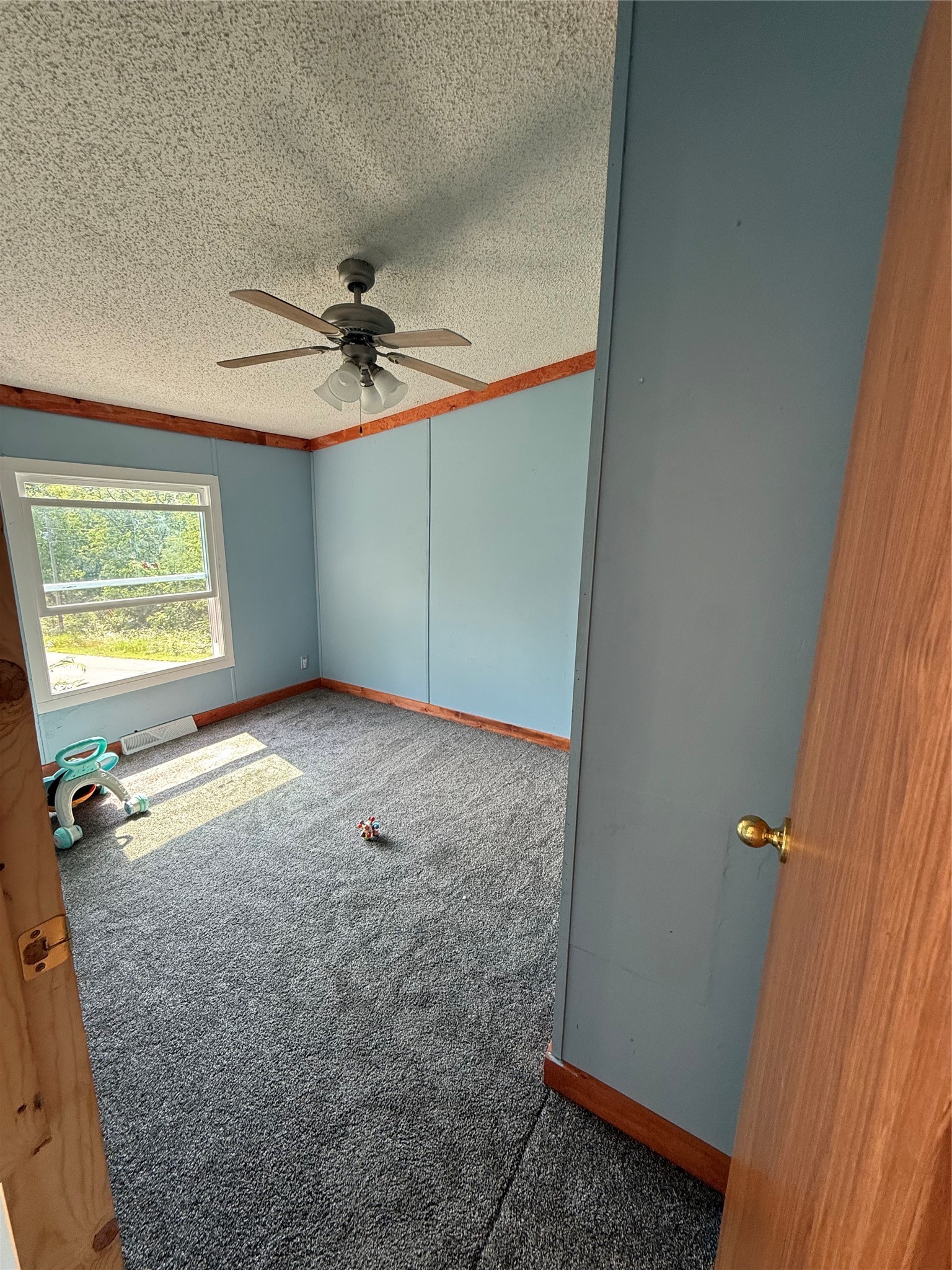 Property Photo #24