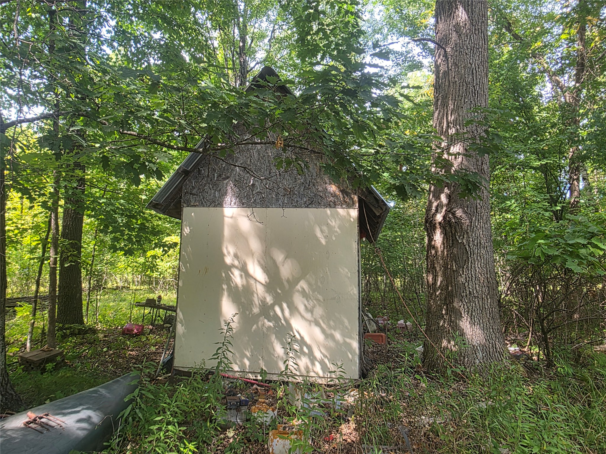 Property Photo #15