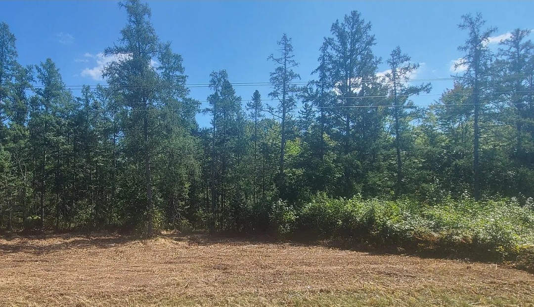  - Land Real Estate